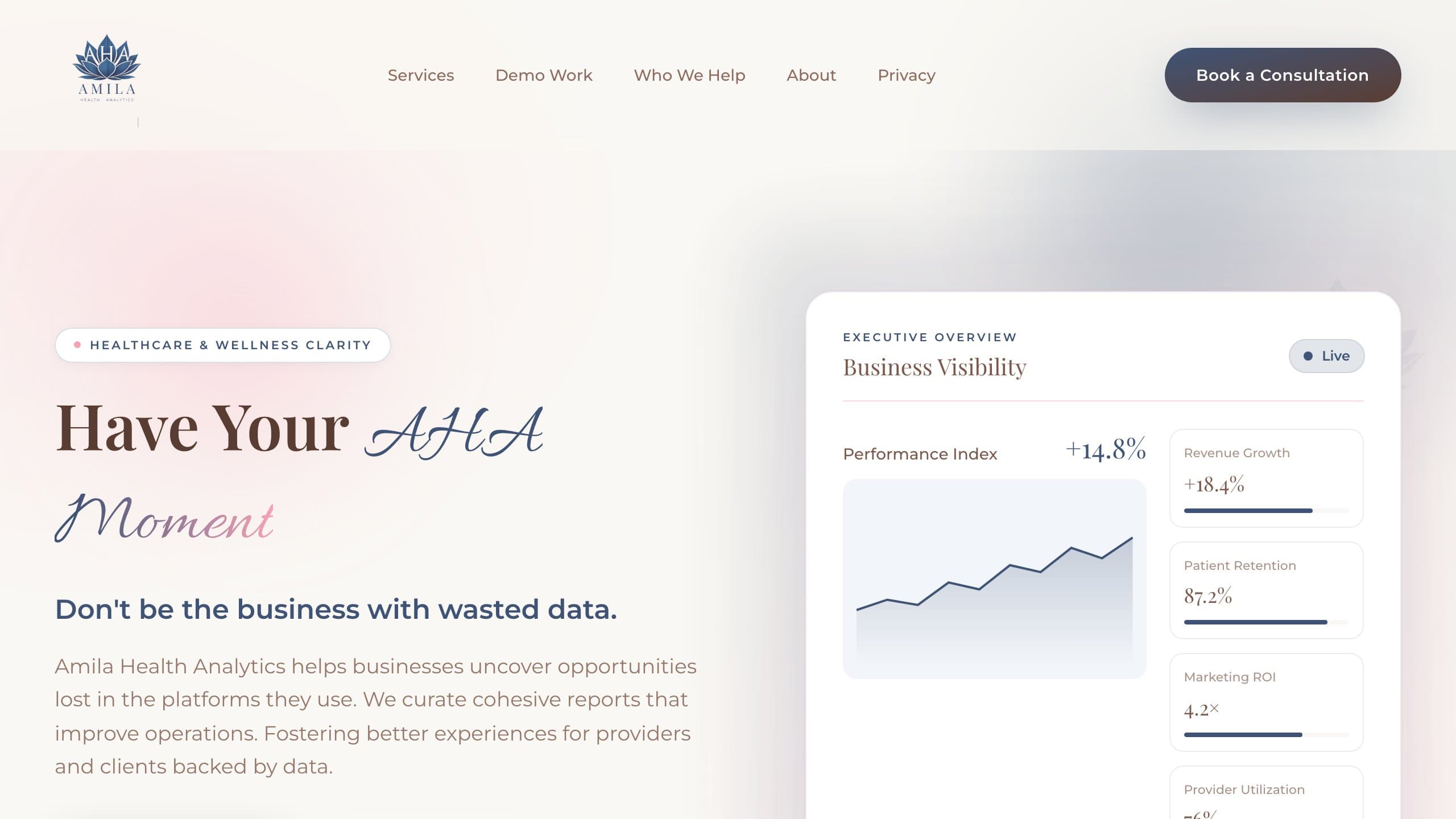 Amila Health Analytics website preview