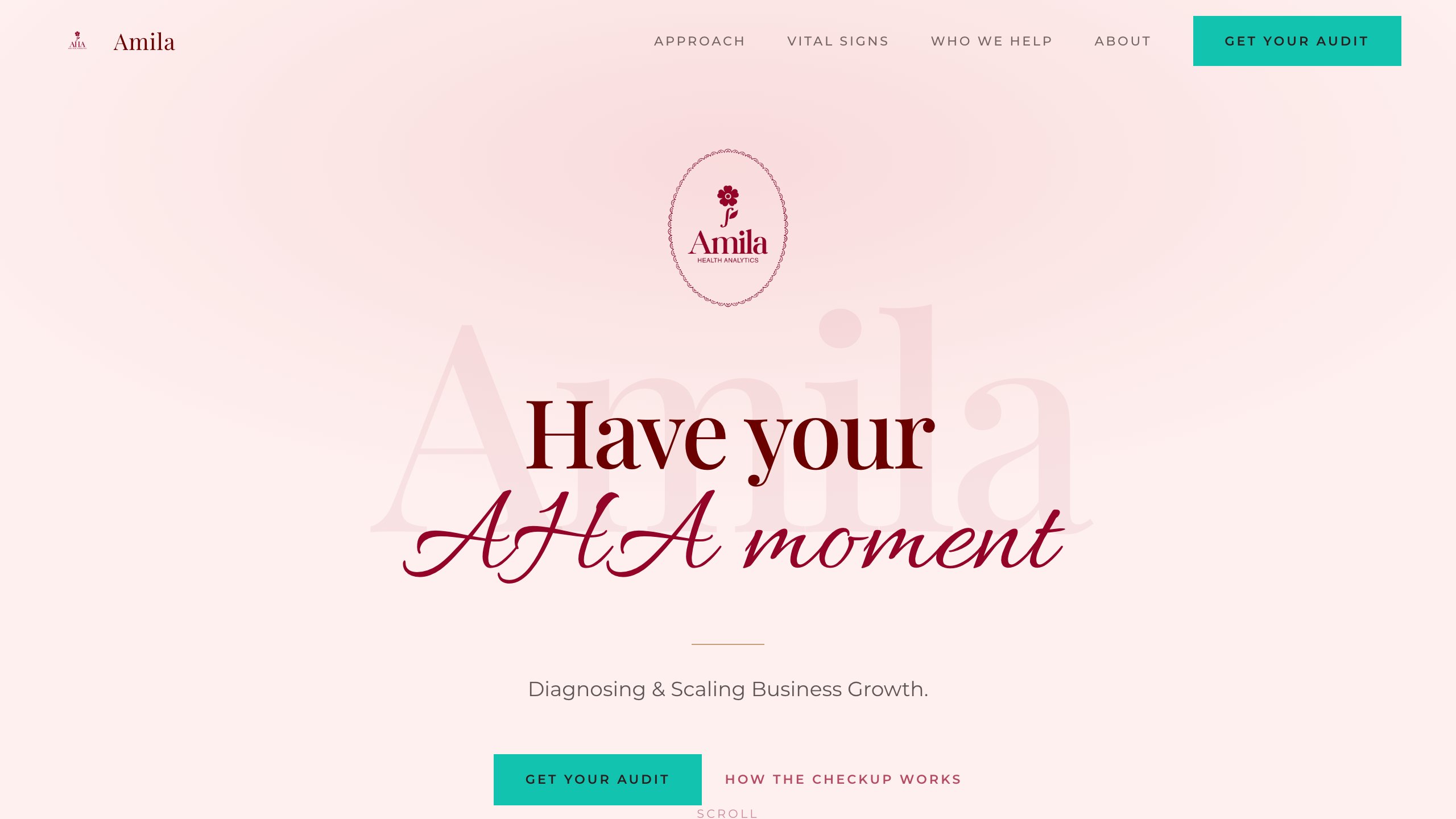 Amila Health Analytics website preview